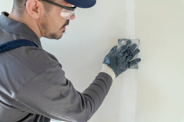 Best Commercial Painting  in Citrus Park, FL