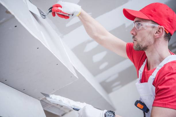 Best Fire-Damaged Drywall Repair  in Citrus Park, FL